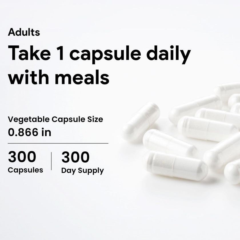 Nutridom NAC 600 mg, 300 Capsules, Canadian-Made N-Acetyl-L-Cysteine Supplement, Non-GMO, Vegan, Gluten Free, Made in Canada 🍁 All In One Marketplace Canada
