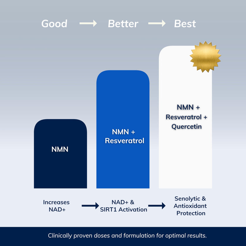 NMN w/Quercetin & Resveratrol For Enhanced NAD+ Levels - More Effective Than NMN Alone, High Purity 99% Nicotinamide Mononucleotide & Resveratrol For Cellular Health, NAD Supplement, 60 Capsules 🍁 All In One Marketplace Canada
