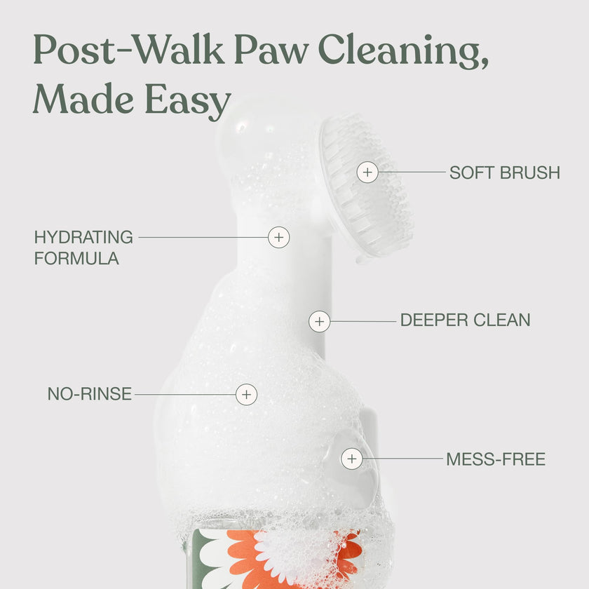 Dandylion Dog Paw Cleaner, Clean Paws, Dog Paw Washer, No Rinse Foam Cleaner for Dogs, Fragrance Free pH Balanced Foaming Washer with Silicone Brush, Pet Cleaning Supplies, 5 fl oz 🍁 All In One Marketplace Canada