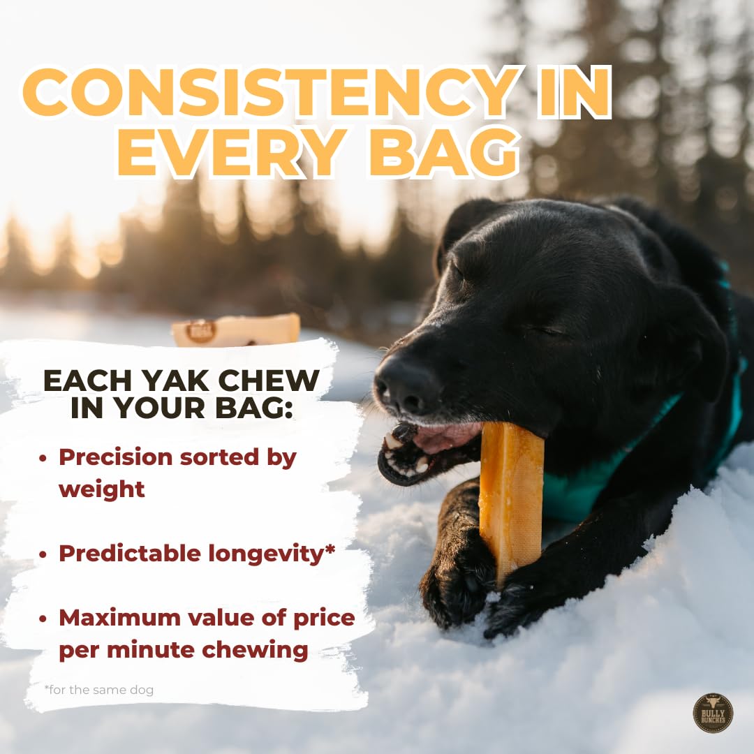 Bully Bunches Large Authentic Yak Cheese Himalayan Chews for Large Dogs & Heavy Chewers - All Natural Dog Treat Dental Chews, Made with Real Yak Milk - Lactose & Rawhide Free (2 Pk) 🍁 All In One Marketplace Canada