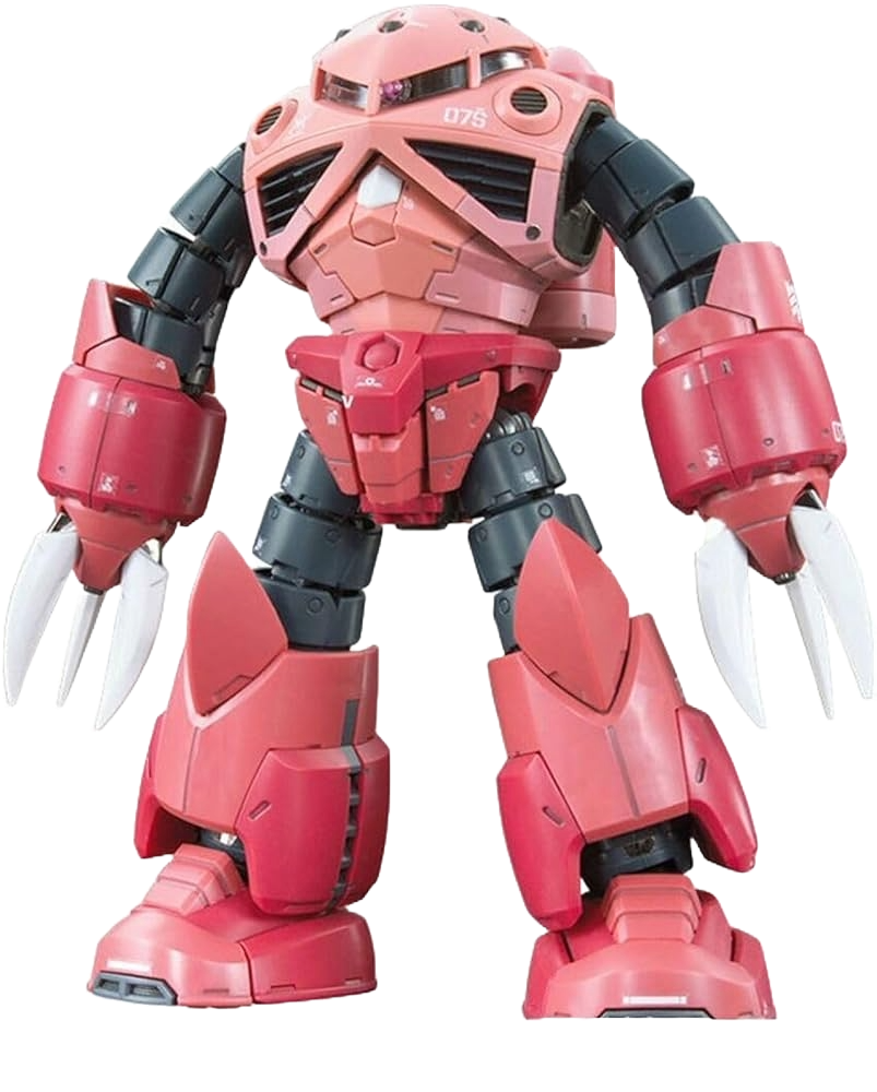 RG 1/144 Zgok Char Custom