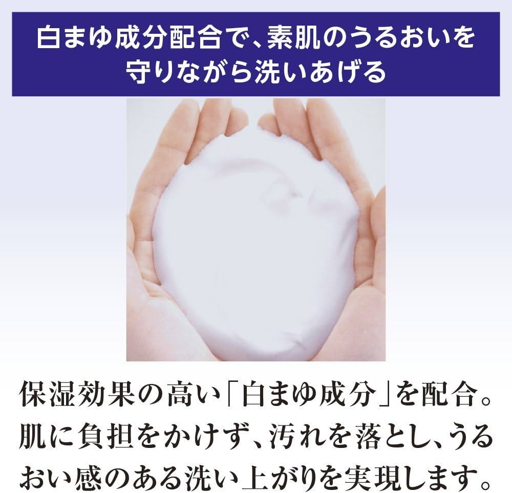 Shiseido Senka Perfect Bubble For Body Wash Floral Plus 500ml (Blue)