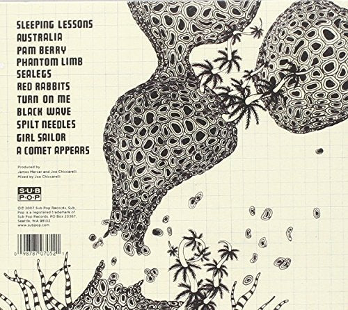 The Shins / Wincing The Night Away - CD (Used)