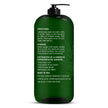 MAJESTIC PURE Tea Tree Body Wash with Collagen - Helps Nail Fungus, Athletes Foot, Ringworms, Jock Itch, Acne, Eczema & Body Odor - Soothes Itching - (Packaging May Vary), 16 fl oz 🍁 All In One Marketplace Canada