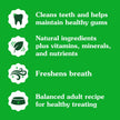 GREENIES Dog Treats Original Regular Natural Dental Care, (54 Treats) 54oz. Pack 🍁 All In One Marketplace Canada