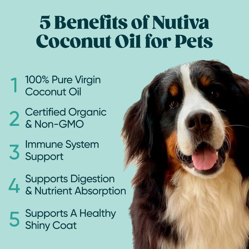 Nutiva Organic Cold-Pressed Virgin Coconut Oil, 1.6 L | Organic, Non-GMO, Fair Trade | Vegan, Keto, Paleo | Fresh Coconut Flavor and Aroma for Cooking & Healthy Skin and Hair 🍁 All In One Marketplace Canada