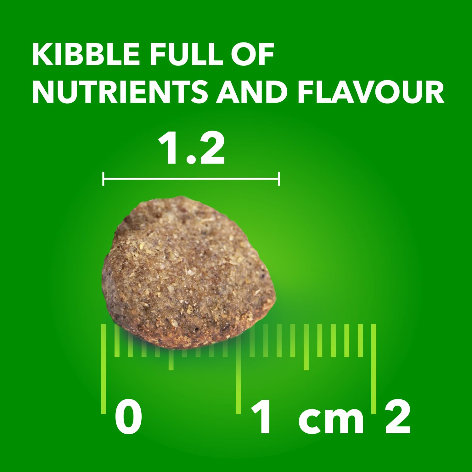 IAMS Proactive Health Minichunks Dry Dog Food – Crunchy Kibble For Adult Dogs – Lamb & Rice Recipe – 13.6KG (30LB) Bag 🍁 All In One Marketplace Canada