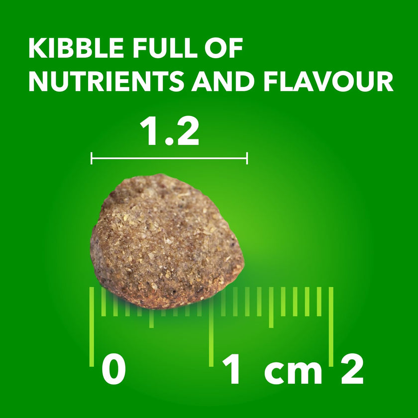 IAMS Proactive Health Minichunks Dry Dog Food – Crunchy Kibble For Adult Dogs – Lamb & Rice Recipe – 13.6KG (30LB) Bag 🍁 All In One Marketplace Canada