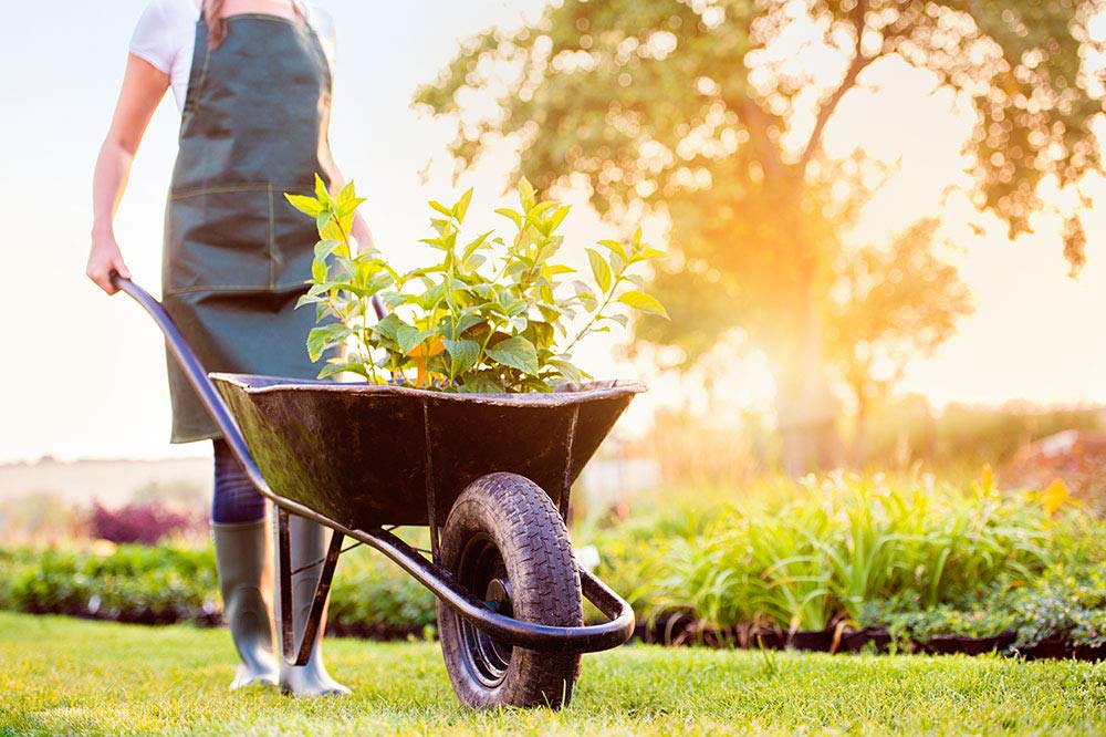 Easy Fit 4.00-6 Flat-Free Wheel Assembly for Residential Wheelbarrow Black 🍁 All In One Marketplace Canada