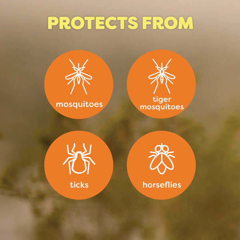 OFF Deep Woods Insect and Mosquito Bug Spray Repellent for Sportsmen, Camping, Safe for Clothing, 230g, 2pk, (Packaging May Vary) 🍁 All In One Marketplace Canada