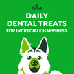 Greenies Adult Dog Treats, 1.02kg 🍁 All In One Marketplace Canada
