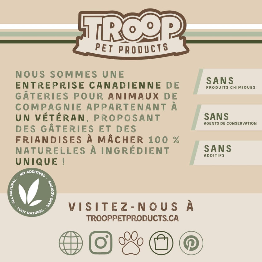 Troop Pet Products, Canadian Herring Oil, Natural Omega 3 Supplement for Improved Stamina, Immune System, Decreased Shedding, (1000ml) 🍁 All In One Marketplace Canada