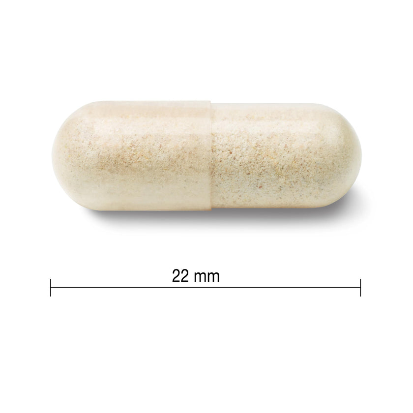 Jamieson Probiotic 60 Billion Active Cells, Ultra Strength, Supports Digestive Health and Intestinal Health. 9 Unique Strains, Including Lactobacillus and Bifidobacterium, Non-GMO, Gluten-Free, 24 Vegetarian capsules 🍁 All In One Marketplace Canada