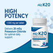Pharmaris K-20 Potassium Chloride 1500mg Extended Release Tablets, Provides 20 mEq Potassium, Electrolyte Replenisher for Hypokalemia Treatment, Daily Use Supplement, 100 Tablets 🍁 All In One Marketplace Canada