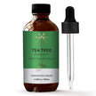 AVD Organics Tea Tree Oil | 100% Pure and Natural Tea Tree Essential Oil for skin | for Nail Fungus Face Aromatherapy Home Diffusers Carrier | 3.38 fl. Oz 🍁 All In One Marketplace Canada