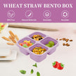 Luriseminger 5 Pack Bento Lunch Box,4 Compartment Snack Containers,Divided Snack Box,Meal Prep Lunch Containers FOR Kids/Toddle/Adults,Food Storage Containers for School, Work and Travel 🍁 All In One Marketplace Canada