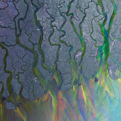 Alt-J / An Awesome Wave - CD (Used)