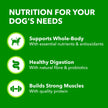 IAMS Proactive Health Minichunks Dry Dog Food – Crunchy Kibble For Adult Dogs – Lamb & Rice Recipe – 13.6KG (30LB) Bag 🍁 All In One Marketplace Canada