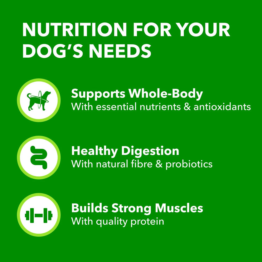 IAMS Proactive Health Minichunks Dry Dog Food – Crunchy Kibble For Adult Dogs – Lamb & Rice Recipe – 13.6KG (30LB) Bag 🍁 All In One Marketplace Canada