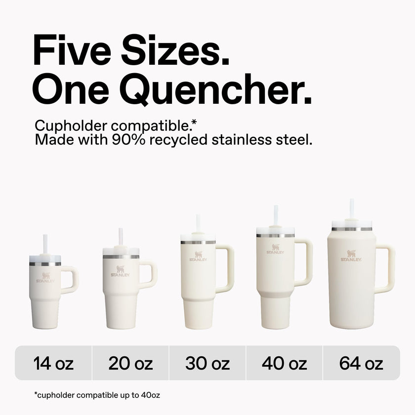 STANLEY Quencher H2.0 Tumbler with Handle and Straw 30 oz | Flowstate 3-Position Lid | Cup Holder Compatible for Travel | Insulated Stainless Steel Cup | BPA-Free | Pistachio 🍁 All In One Marketplace Canada