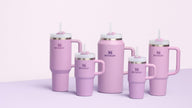 Stanley Quencher H2.0 Tumbler with Handle and Straw 20 oz Flowstate 3-Position Lid Cup Holder Compatible for Travel Insulated Stainless Steel Cup BPA-Free Lilac 🍁 All In One Marketplace Canada