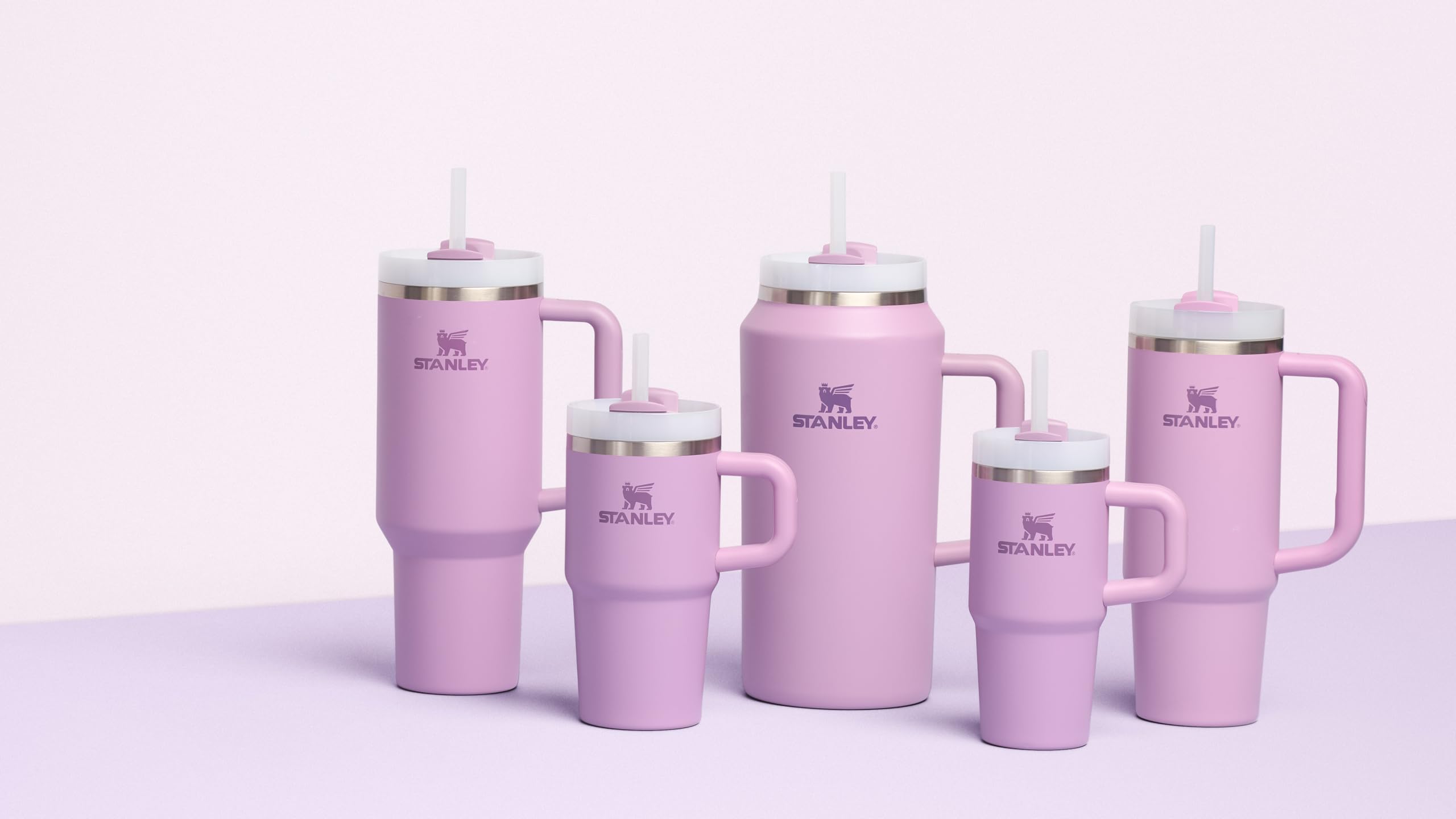 Stanley Quencher H2.0 Tumbler with Handle and Straw 20 oz Flowstate 3-Position Lid Cup Holder Compatible for Travel Insulated Stainless Steel Cup BPA-Free Lilac 🍁 All In One Marketplace Canada