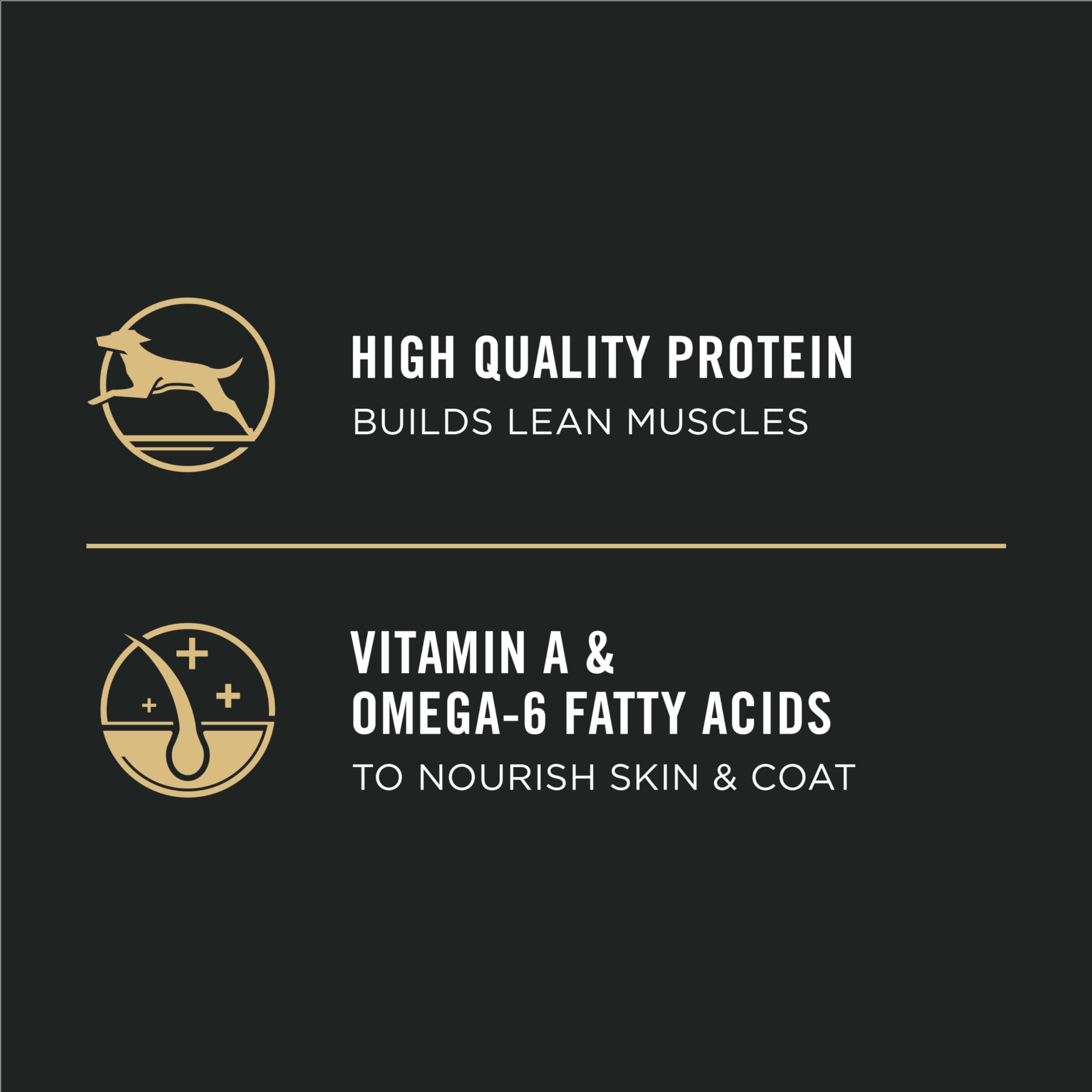 Purina Pro Plan Dry Puppy Food, Development Lamb & Rice - 15.4 kg Bag (1 Pack) 🍁 All In One Marketplace Canada