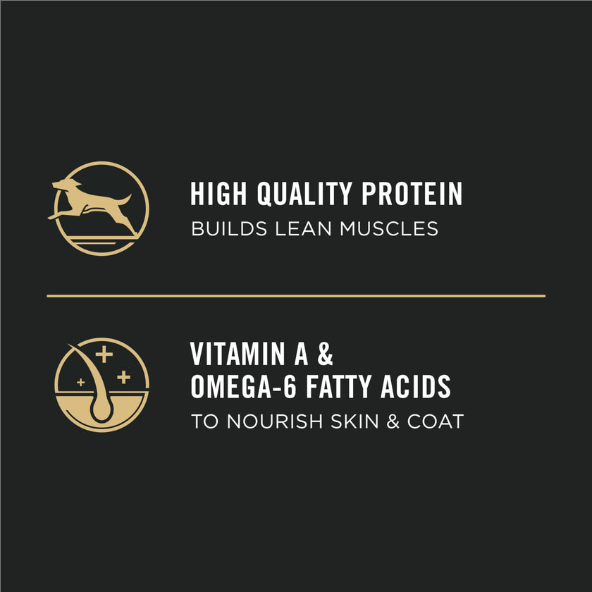Purina Pro Plan Dry Puppy Food, Development Lamb & Rice - 15.4 kg Bag (1 Pack) 🍁 All In One Marketplace Canada
