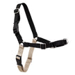 PetSafe Easy Walk Harness, No Pull Harness for Dogs, Adjustable Harness with Included Matching Lead Black Medium 🍁 All In One Marketplace Canada
