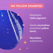 Fanola No Yellow Shampoo | Colour Depositing Purple Shampoo for Blonde, Silver, Gray, and Highlighted Hair | Anti Brass Shampoo Toner to Remove Yellow Tones & Brassiness from Bleached Hair (350 ml) 🍁 All In One Marketplace Canada
