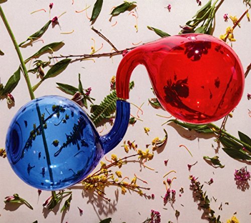 Dirty Projectors / Lamp Lit Prose - CD
