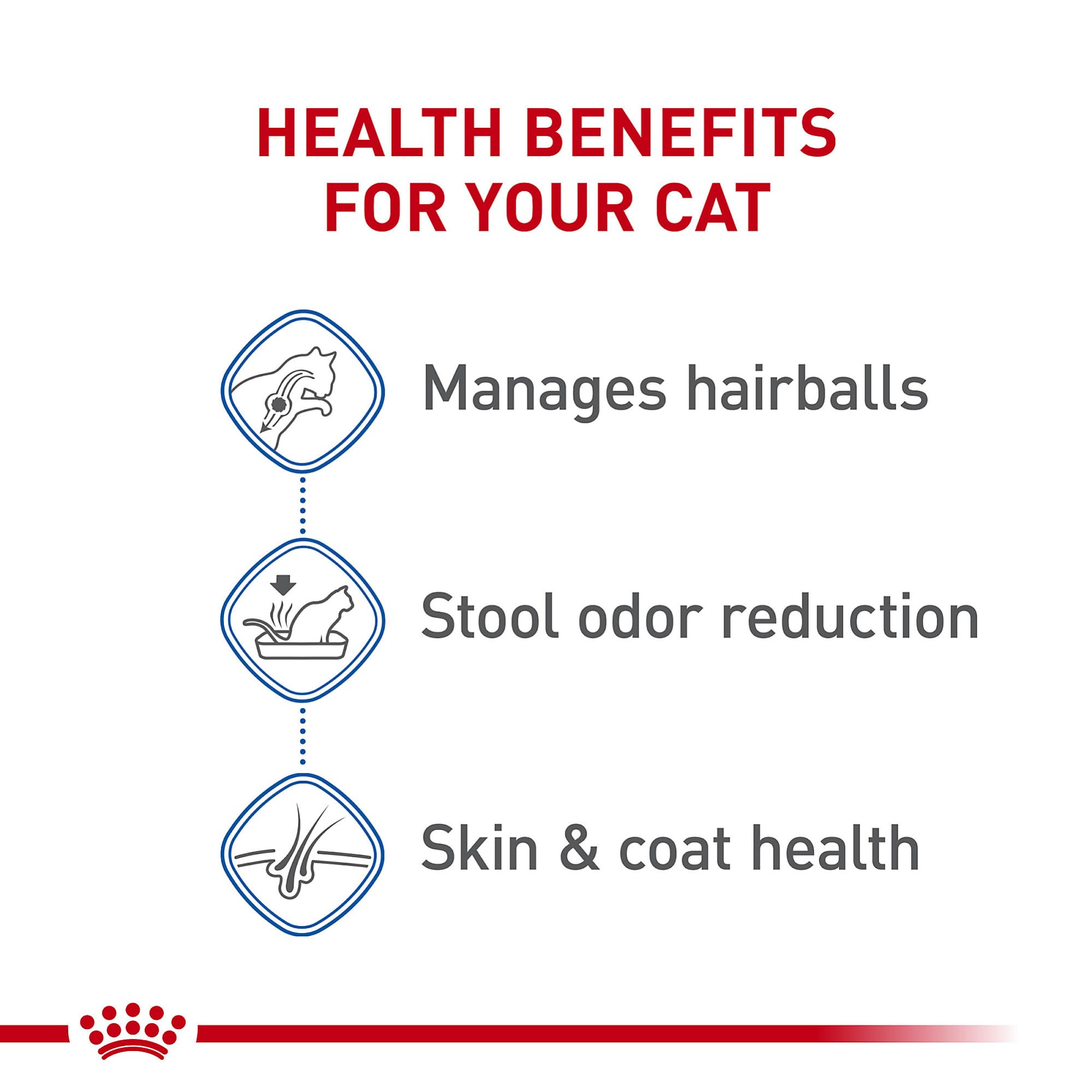 Royal Canin Indoor Long Hair Adult Dry Cat Food, 6 lb bag 🍁 All In One Marketplace Canada