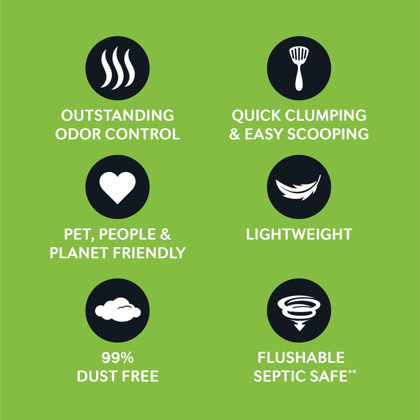 World's Best CAT Litter Comfort Care Unscented, 32-Pounds - Natural Ingredients, Quick Clumping, Flushable, 99% Dust Free & Made in USA - Long-Lasting Odor Control & Easy Scooping 🍁 All In One Marketplace Canada