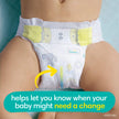 Pampers Swaddlers Diapers, Size 1, Absorbent, Keeps Baby Dry and Comfortable, Skin Safe Disposable Baby Diaper, 1 Pack (Count of 160) 🍁 All In One Marketplace Canada