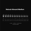 APRÉS Gel-X® Almond Box of Nail Tips | 280 Soft Gel Nail Tips, 14 Sizes 00-9 | Half-sizes Included (Natural Almond Medium, 280 Count) 🍁 All In One Marketplace Canada