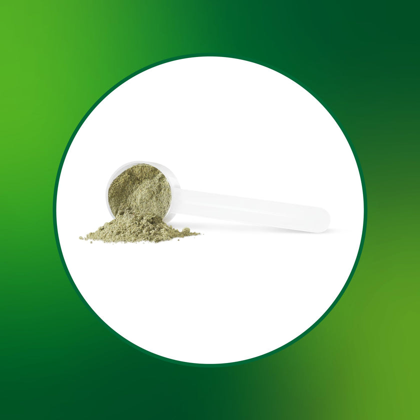 Progressive VegeGreens Blueberry Medley, Vegan Canadian-Made Superfoods + Daily Greens with 23 Whole Foods, Adaptogens, Anti-Inflammatory, Antioxidants & Digestive Support for Energy and Immunity, 530 g 🍁 All In One Marketplace Canada