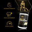 PVL Creapure Creatine Powder | 100% German Creatine Monohydrate, Canadian-Owned, Informed-Choice Tested, Unflavoured Supplement powder – 48 Servings - 240 g 🍁 All In One Marketplace Canada