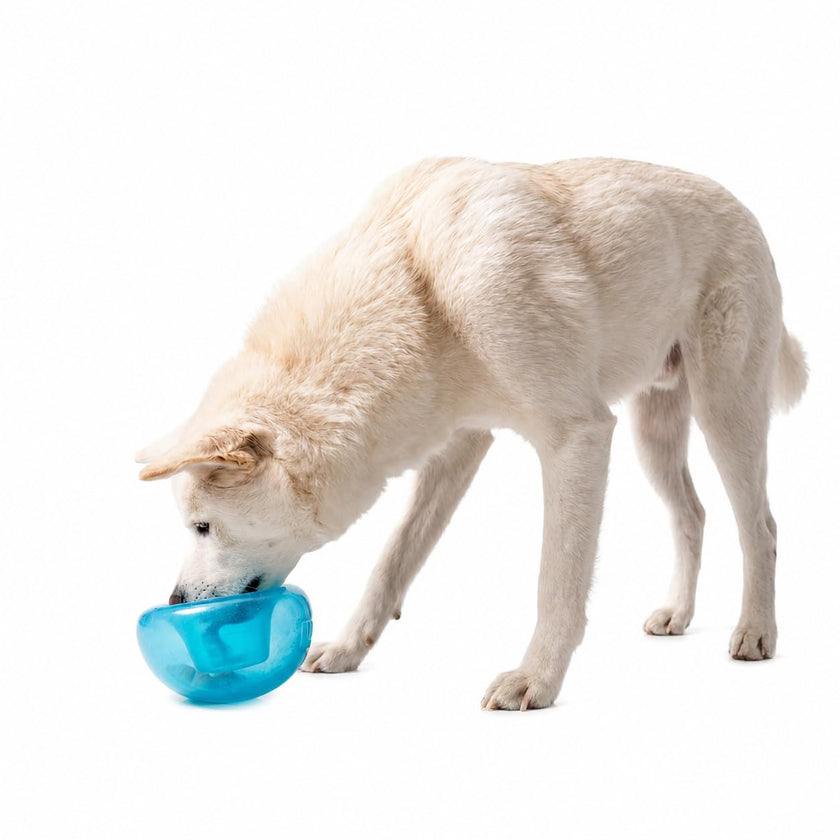 Planet Dog Orbee-Tuff Snoop Interactive Puzzle Dog Toy, Blue 🍁 All In One Marketplace Canada