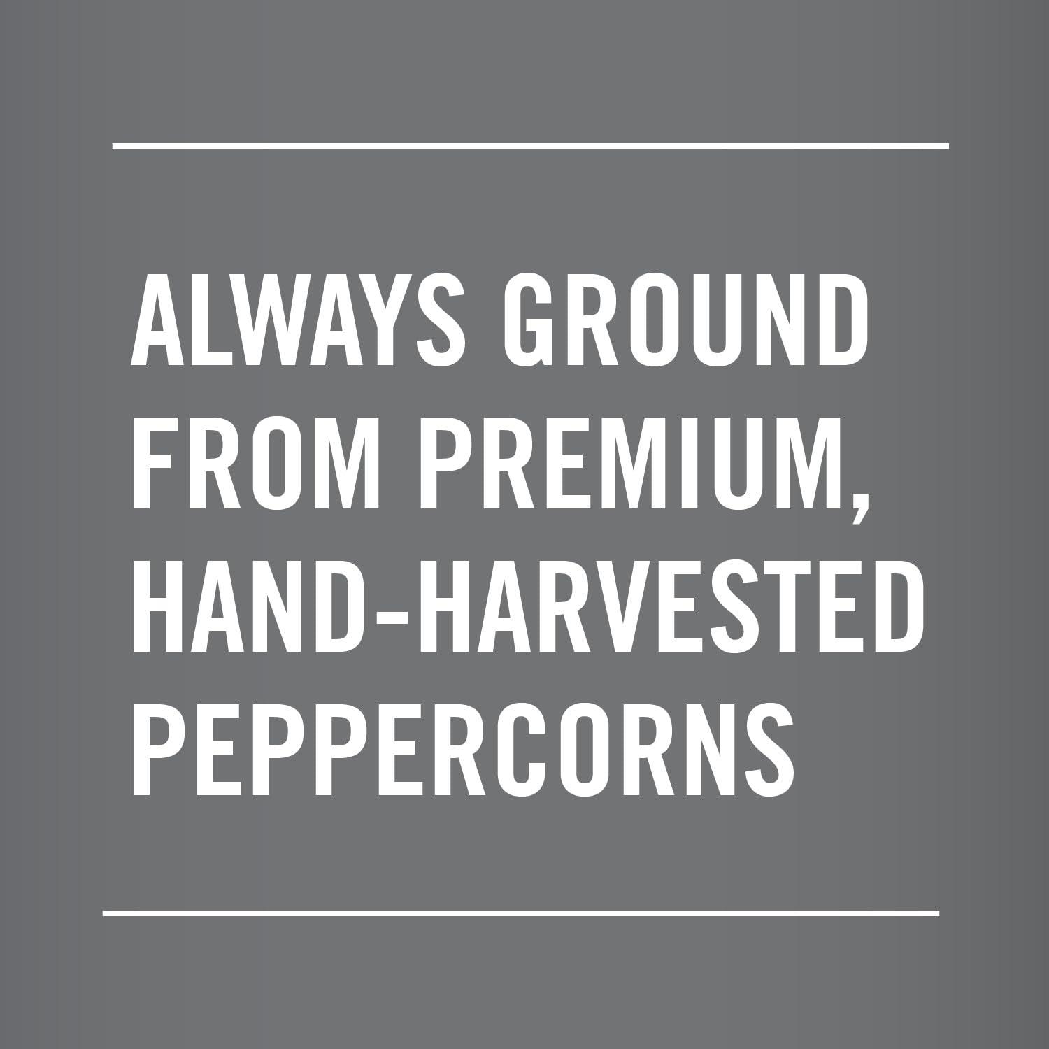Club House Herbs & Spices, Restaurant Grind Black Pepper, 500 g 🍁 All In One Marketplace Canada