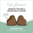 Nutrience Care® Hairball+ Cat Supplement, 180 g 🍁 All In One Marketplace Canada