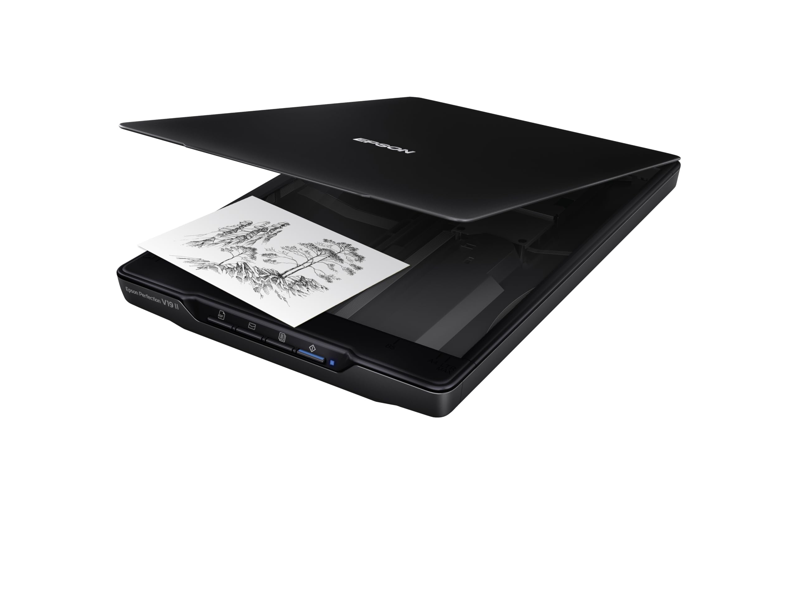 Epson Perfection V19 II Flatbed Photo Scanner 4800 dpi Optical Resolution 🍁 All In One Marketplace Canada