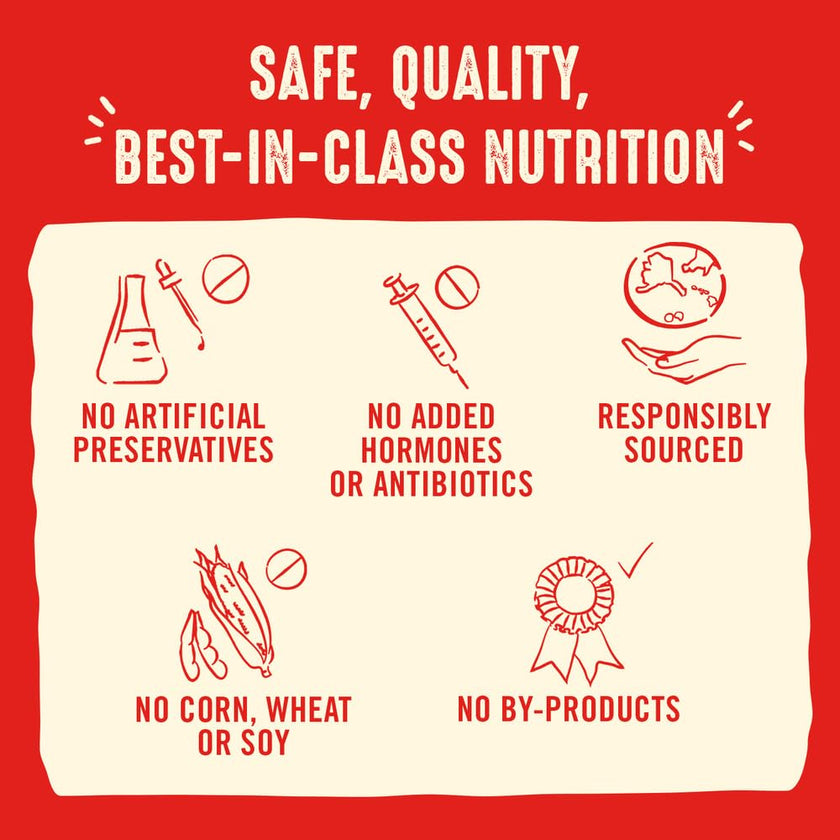Stella & Chewy’s Freeze Dried Raw Dinner Patties – Grain Free Dog Food, Protein Rich Dandy Lamb Recipe – 708g Bag 🍁 All In One Marketplace Canada