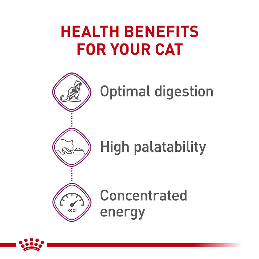 Royal Canin Adult Cat Sensitive Digestion Dry Adult Cat Food, 3.5 lb Bag 🍁 All In One Marketplace Canada