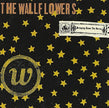 The Wallflowers / Bringing Down the Horse - CD (Used)