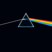 The Dark Side Of The Moon (50th Anniversary Remaster) (Vinyl) 🍁 All In One Marketplace Canada