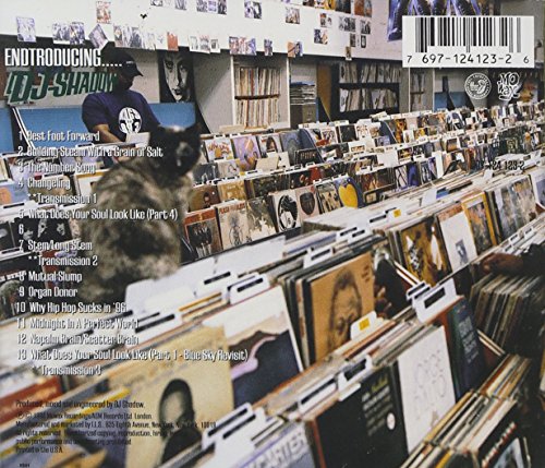 Endtroducing