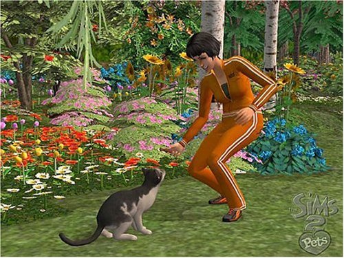 Les Sims 2: Animaux et compagnie