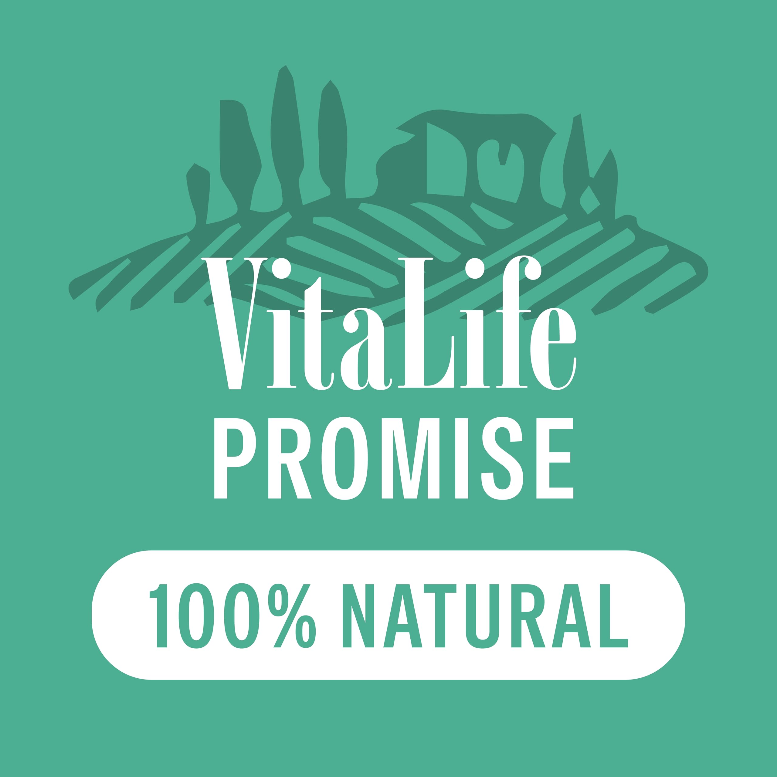 VitaLife 750 g Duck Tenders, All Natural Dog Treats 🍁 All In One Marketplace Canada