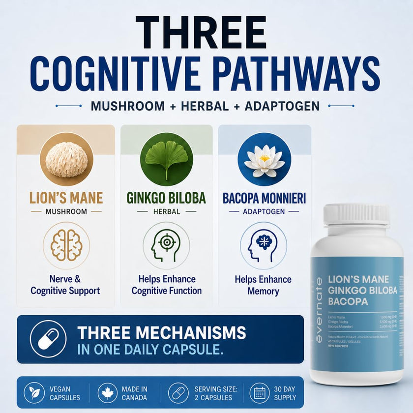 ALL-IN-ONE Lion's Mane 1,600 mg with Ginkgo Biloba 5,500 mg & Bacopa Monnieri 3,600 mg (Per Serving: 2 Capsules) – 3-in-1 Memory, Focus & Cognitive Support – 60 Vegan Capsules – Made in Canada 🍁 All In One Marketplace Canada