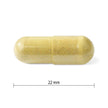 Progressive Advanced Daily Multivitamin for Active Women, with DIM, Chastetree, Maca, and Ashwagandha. Supports Immune Health, Healthy Estrogen Balance, and Energy, 100% Complete, Canadian-Made, 120 Count 🍁 All In One Marketplace Canada